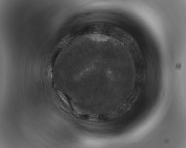 X0000093750766200711061048