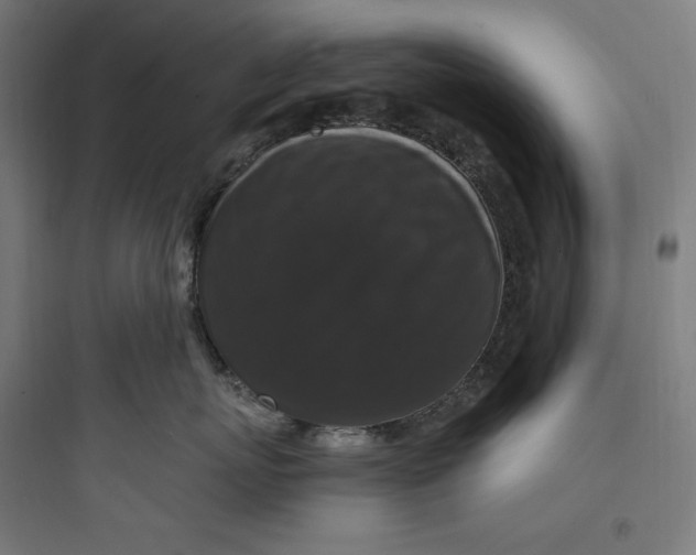 X0000093750767200711061048