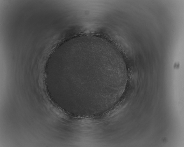 X0000093750769200711061047