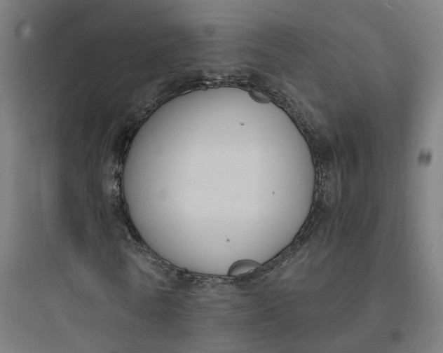 X0000093750770200711061047