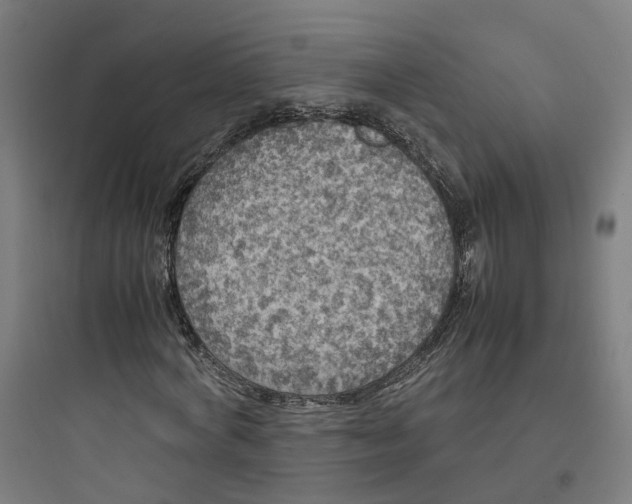 X0000093750772200711061047