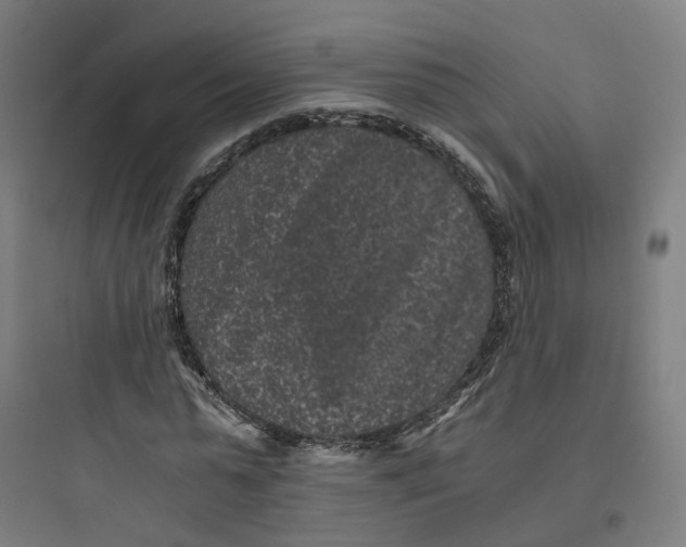 X0000093750775200711061047