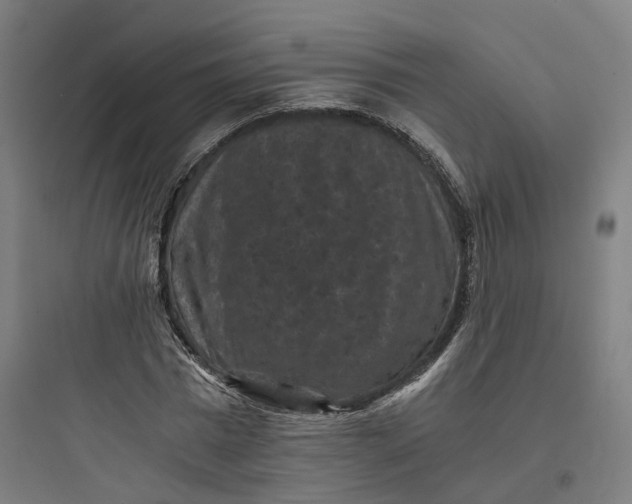 X0000093750777200711061047