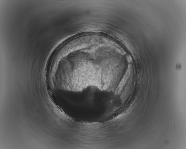 X0000093750779200711061047