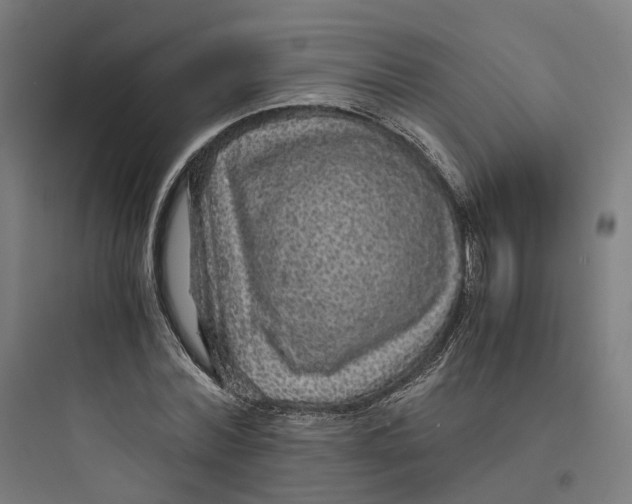 X0000093750780200711061047