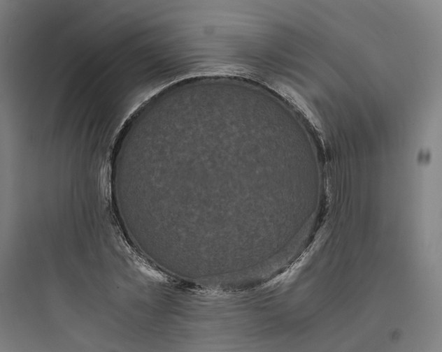 X0000093750781200711061047