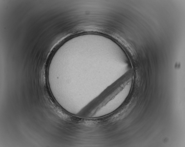 X0000093750782200711061047