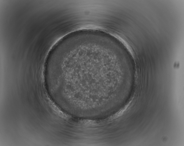 X0000093750783200711061047