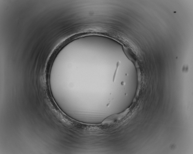X0000093750784200711061047