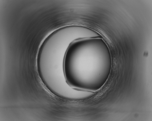 X0000093750788200711061047