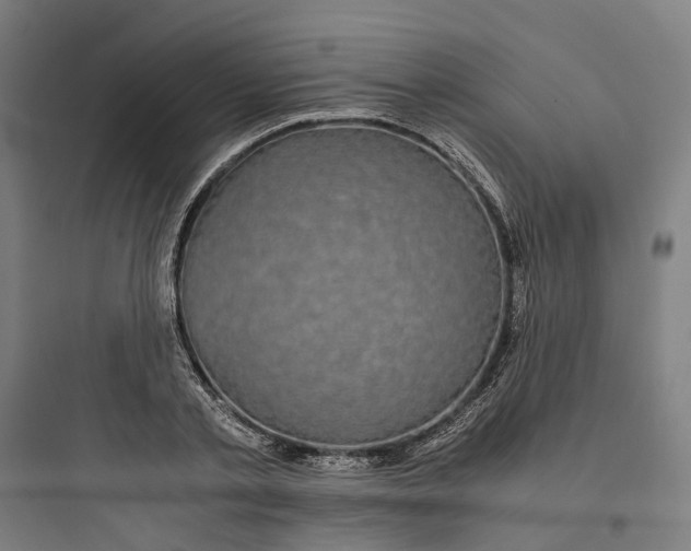 X0000093750789200711061047