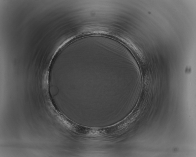 X0000093750790200711061047