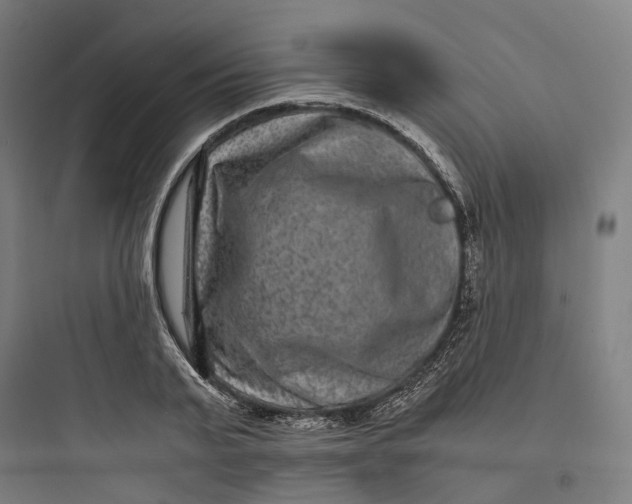 X0000093750791200711061047