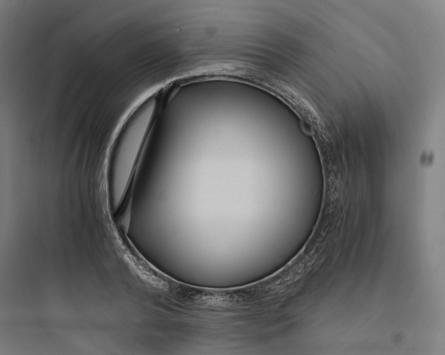 X0000093750792200711061047