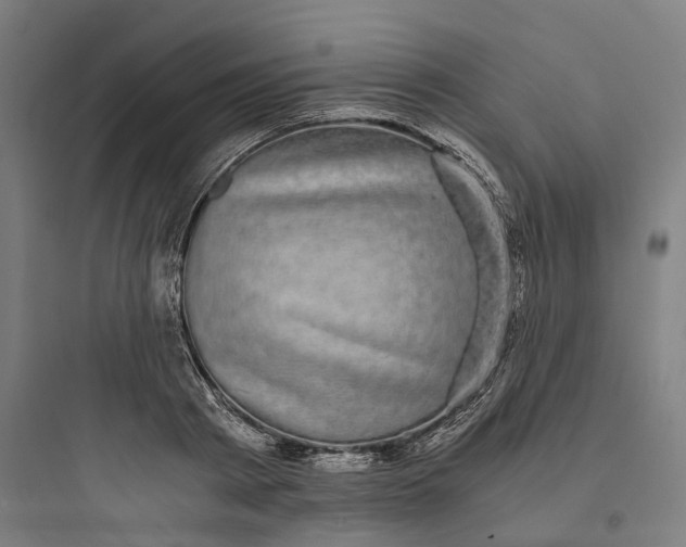 X0000093750793200711061047