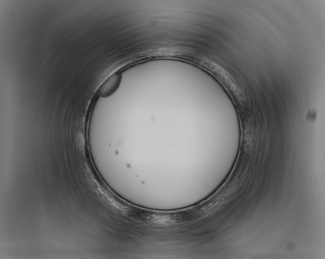 X0000093750794200711061047