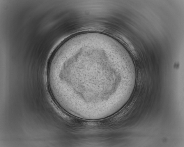 X0000093750796200711061047