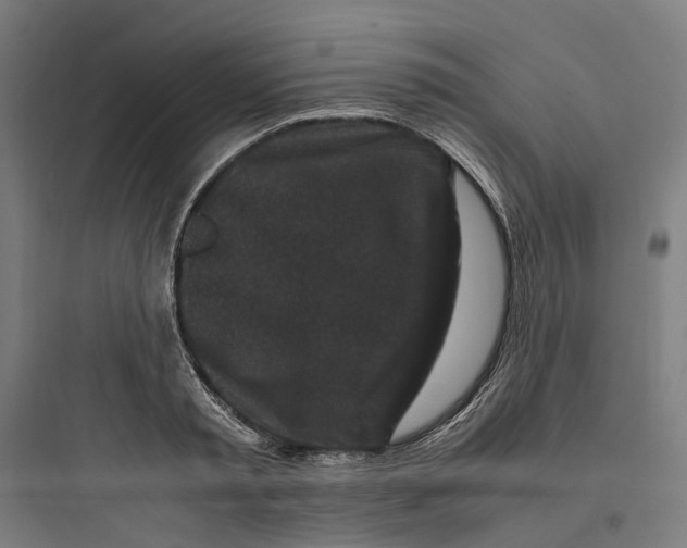 X0000093750797200711061047
