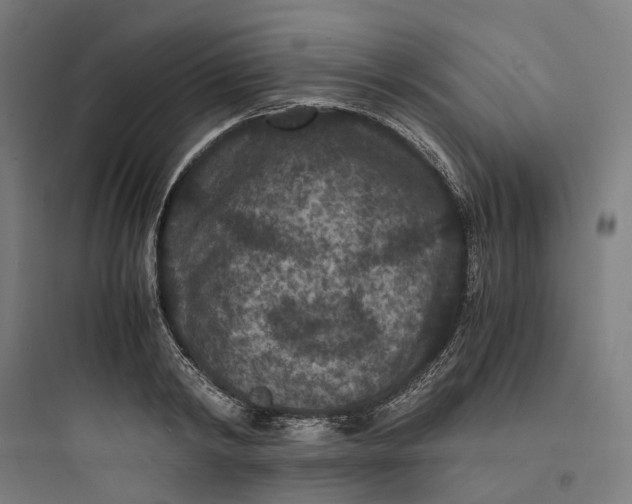 X0000093750798200711061047
