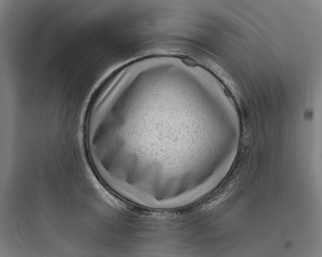 X0000093750803200711061047