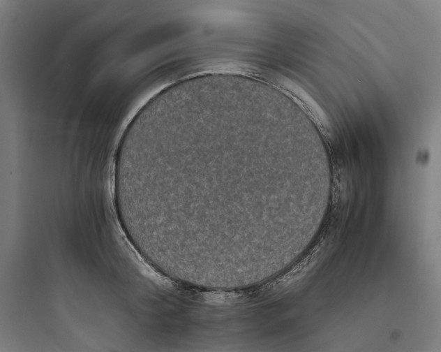 X0000093750804200711061047