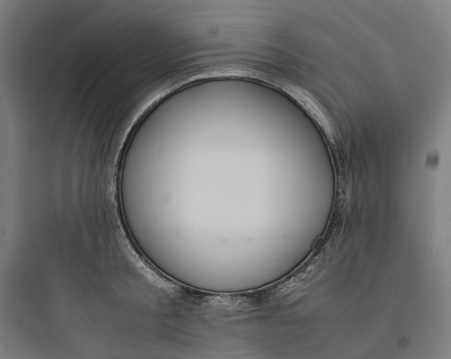 X0000093750805200711061047