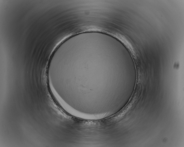 X0000093750806200711061047