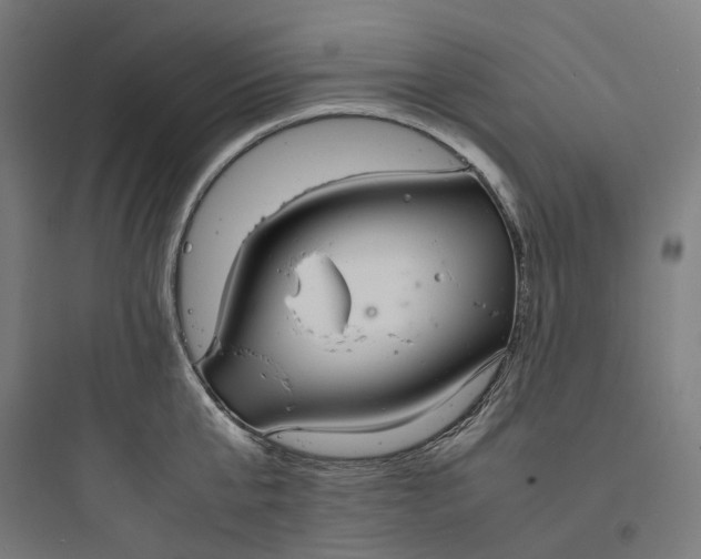X0000093750807200711061047