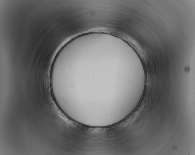X0000093750808200711061047