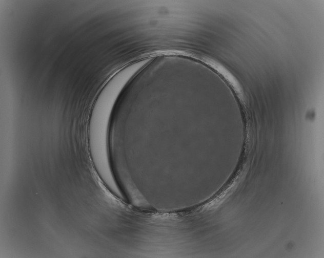 X0000093750809200711061047