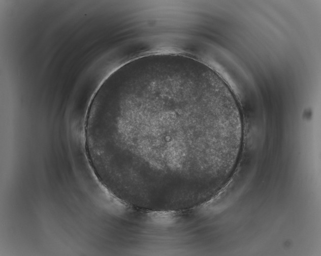 X0000093750810200711061047