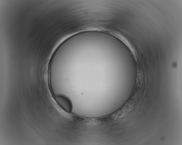 X0000093750811200711061047