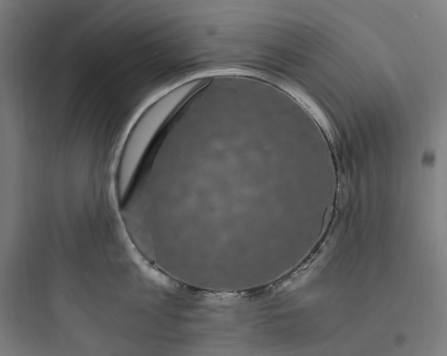 X0000093750813200711061047