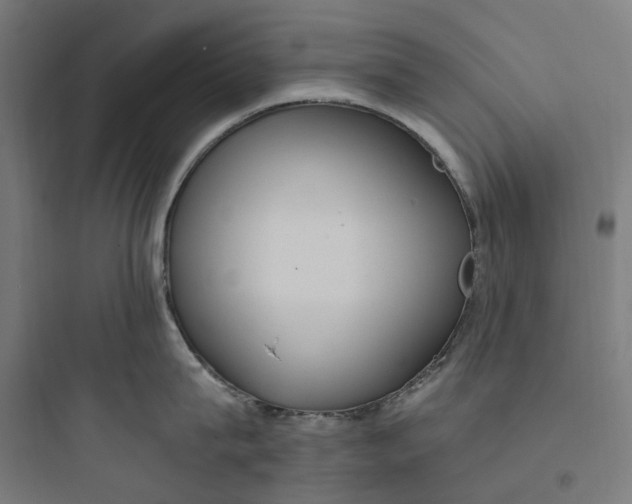 X0000093750815200711061047