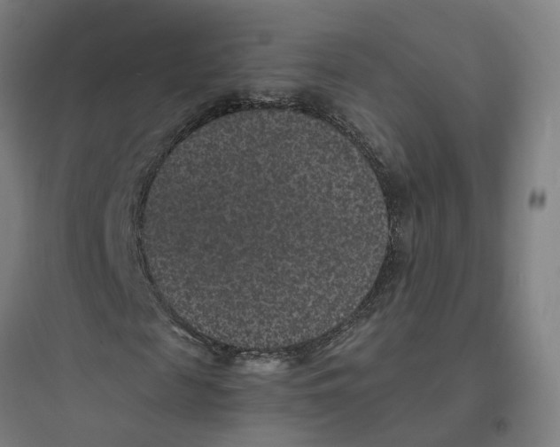 X0000093750817200711061046