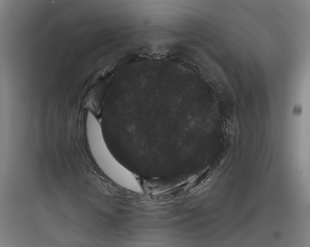 X0000093750818200711061046