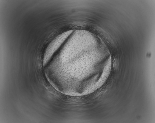 X0000093750819200711061046