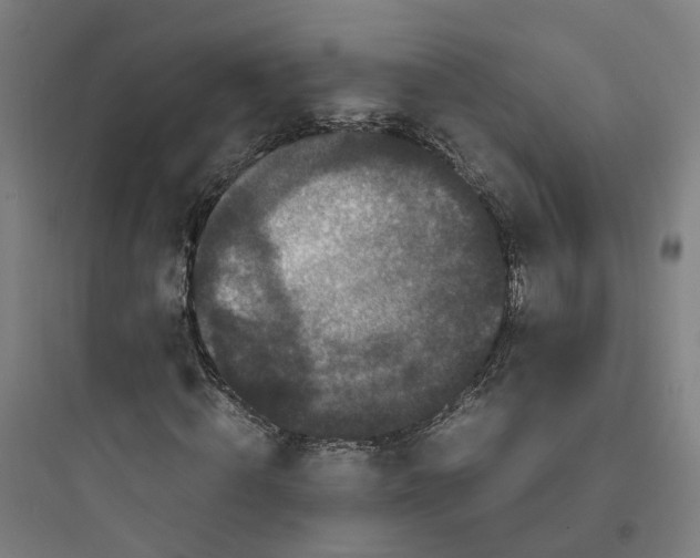 X0000093750820200711061046