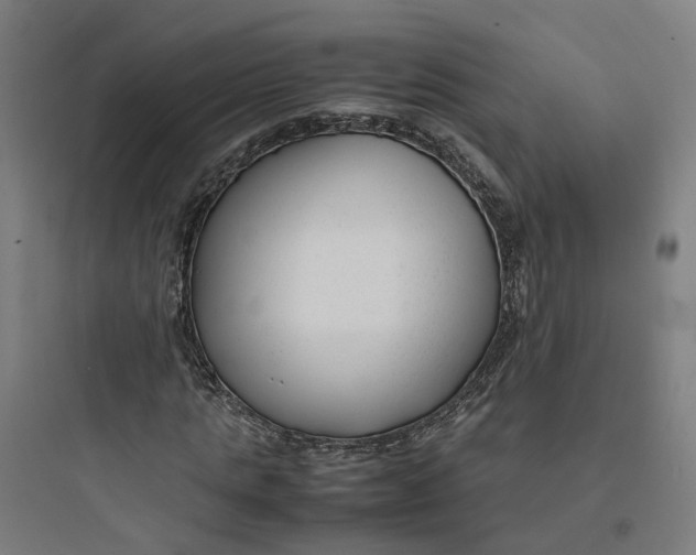 X0000093750821200711061046