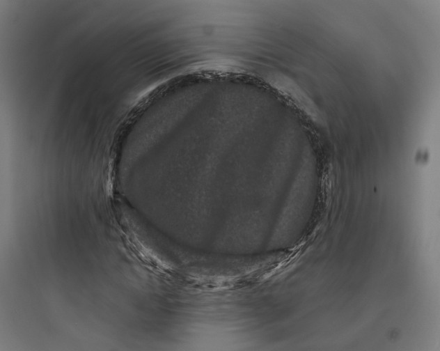 X0000093750822200711061046