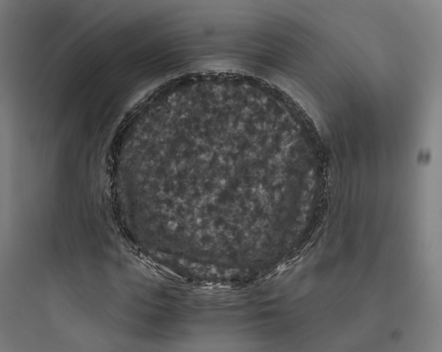 X0000093750823200711061046