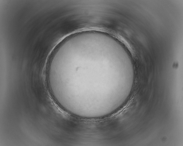 X0000093750828200711061046