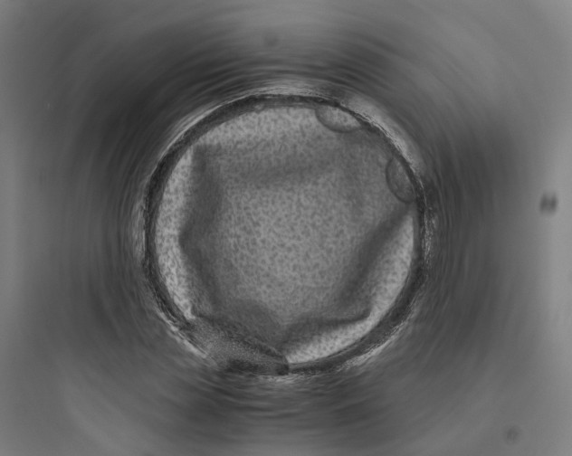 X0000093750829200711061046