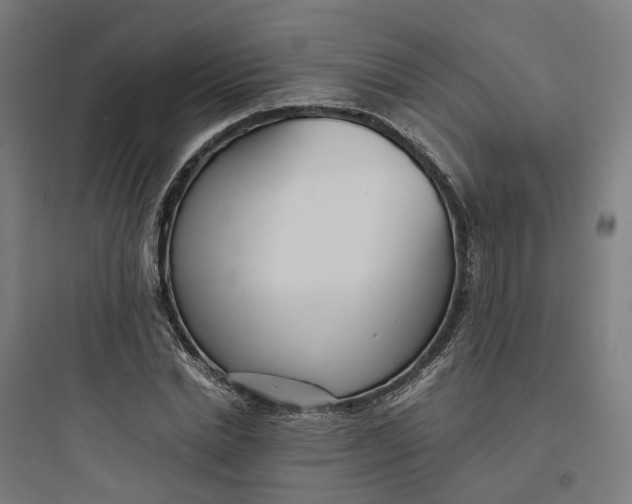 X0000093750830200711061046