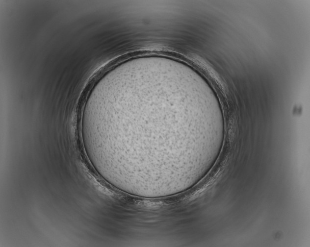 X0000093750831200711061046