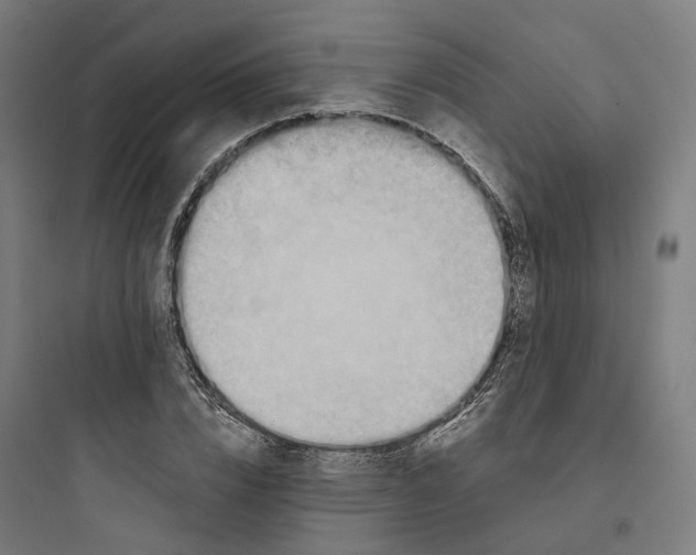 X0000093750832200711061046