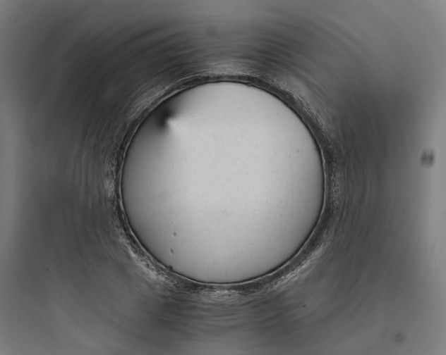 X0000093750833200711061046