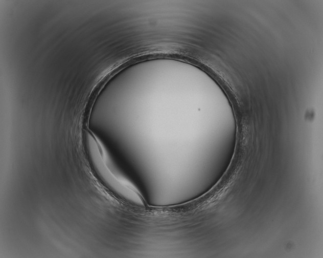X0000093750834200711061046
