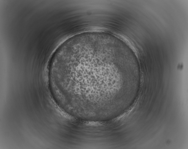 X0000093750835200711061046