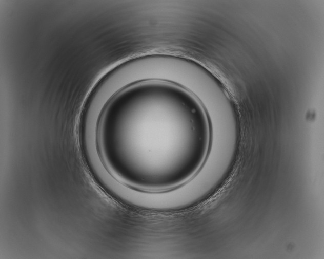 X0000093750838200711061046